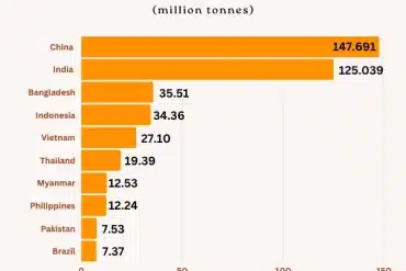 Top 10 Rice Producing Countries