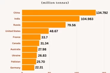 Top 10 Wheat Producing Countries in the World