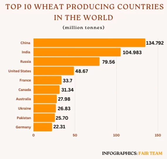 Top 10 Wheat Producing Countries in the World