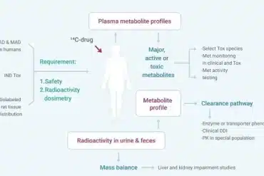 Body_mass_balance