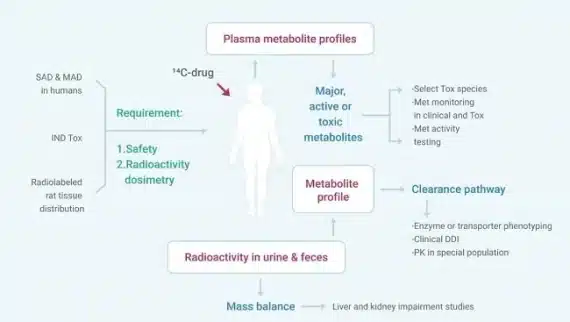 Body_mass_balance