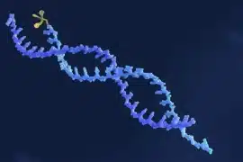 Oligonucleotide Drugs