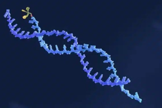 Oligonucleotide Drugs