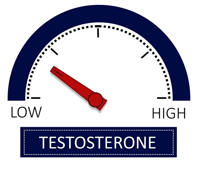 Understanding Low Testosterone: Causes and Symptoms - FAIR