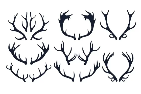 Antler rings